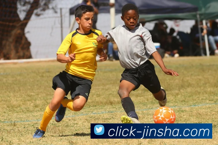 App Interface Preview